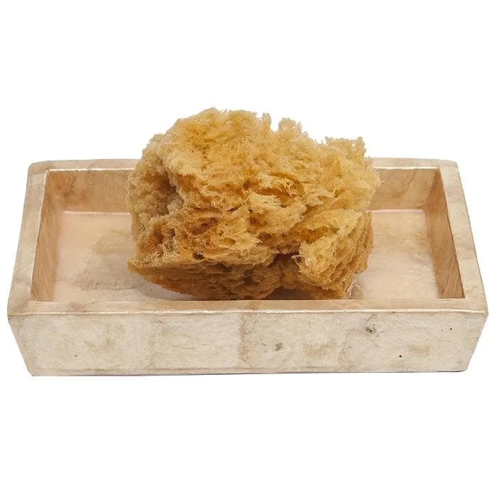 Andria Smoked Capiz Shell Soap Dish