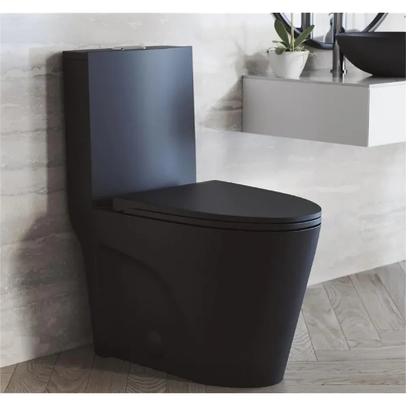 Toilet, Dual Flush Elongated Toilet Water Saving, Seat Included, Black